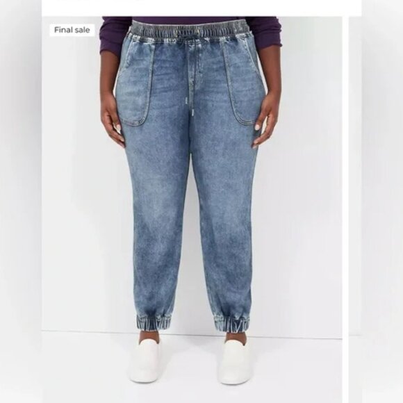 Lane Bryant Pull-On Boyfriend Jogger Jean 26 - Picture 2 of 16
